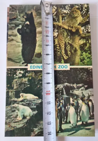 Lote 12 Cartoline Animali Zoo Londra ed Edimburgo