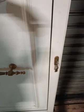 Puerta exterior aluminio 85x200