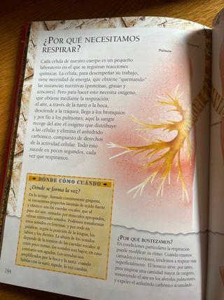 El gran libro de los porqués: Preguntas y respu...