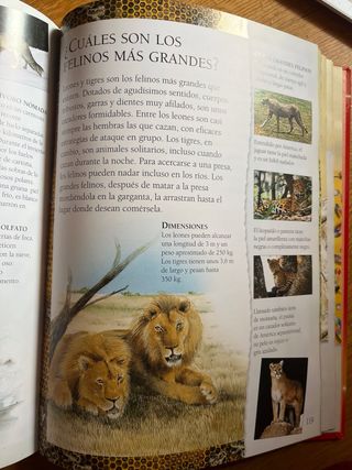 El gran libro de los porqués: Preguntas y respu...