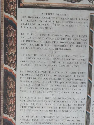 Poster Declaración de los derechos del hombre...
