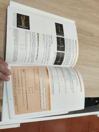 Física: 2 bachillerato . Casals