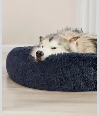 Feandrea Cama para Perros Cojín Grande