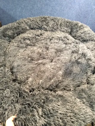 Feandrea Cama para Perros Cojín Grande