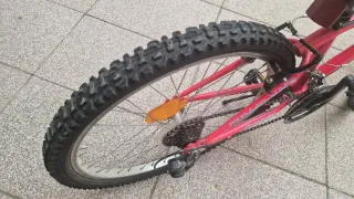 Bicicleta Orbea Loopy 24 Juvenil