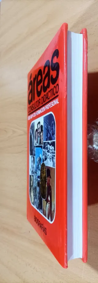 Libro areas consultor didáctico