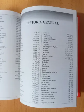 Libro areas consultor didáctico