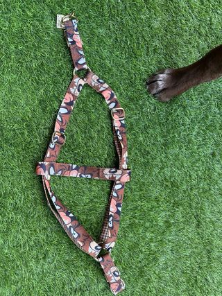 Arnés perro con estampado de demonio de Tasmania