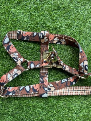Arnés perro con estampado de demonio de Tasmania