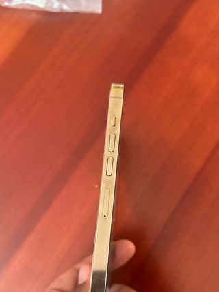 iPhone 13 Pro Max 256GB Oro in ottime condizioni