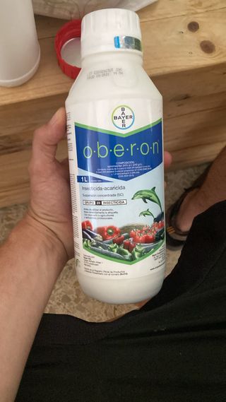Insecticida-acaricida Oberon 500ml Bayer