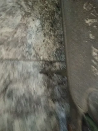 Patinete Xiaomi Pro 2