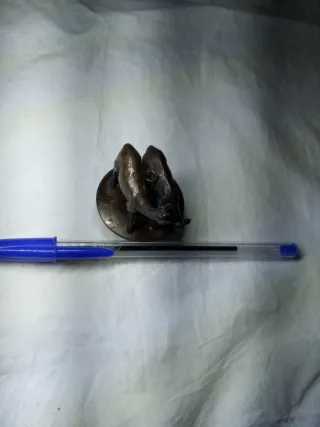 Pulsador timbre bronce