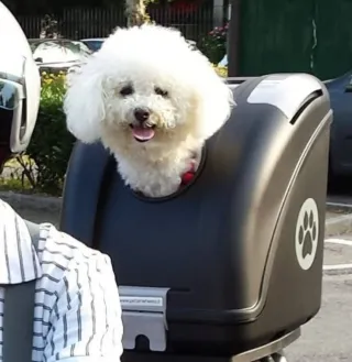 POW Trasportino per Cani e Gatti