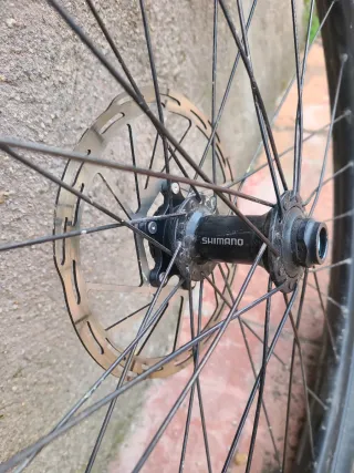 Ruota MTB 29, mozzo shimano.