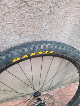 Ruota MTB 29, mozzo shimano.