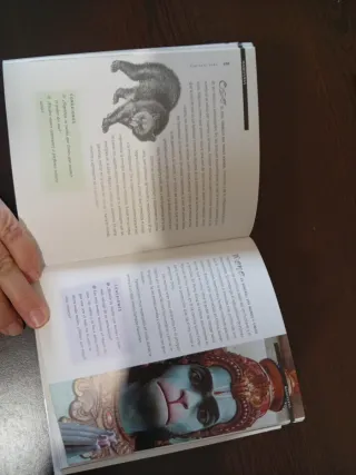 La biblia de los sueños