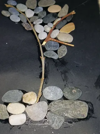 Cuadro Decorativo Gatos Piedras Mar