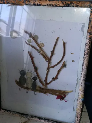 Cuadro Decorativo Gatos Piedras Mar