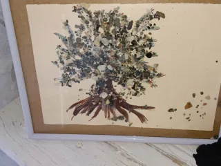 Cuadro Decorativo Gatos Piedras Mar