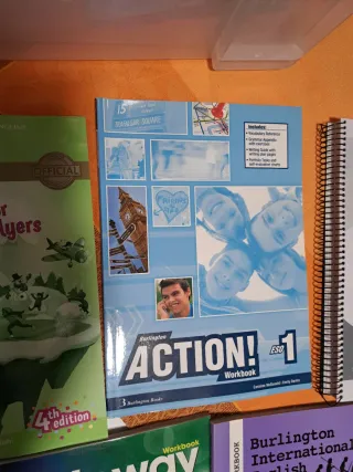 BURL.ACTION 1 WB.2014 ESO 1