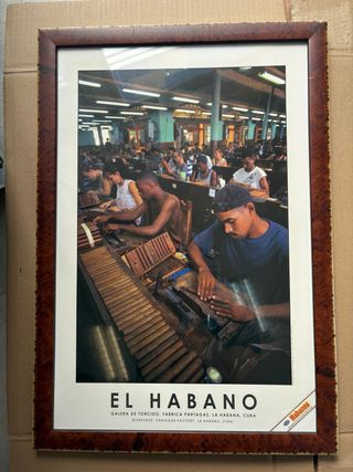 LOTE 10 CUADROS HABANOS  Perfectos para estanco