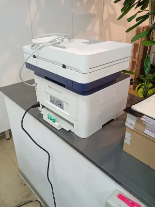 Impresora Multifunción Láser Xerox B215 Laser.