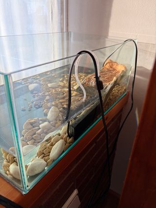 Tortuguera/pecera de cristal