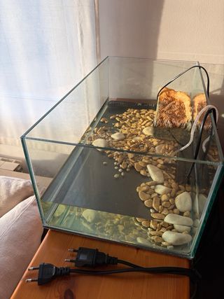 Tortuguera/pecera de cristal