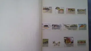 Collezione COMPLETA di Francobolli Autentici del Mondo