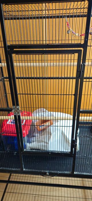 Jaula grande para pájaros
