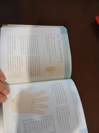 La biblia de la quiromancia