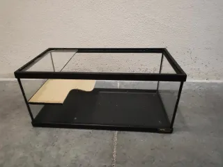 Tortuguera de cristal con plataforma