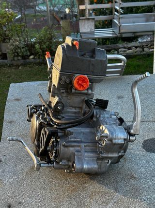 Motor Honda TRX450r 2006 (0 horas)