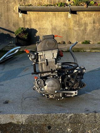 Motor Honda TRX450r 2006 (0 horas)