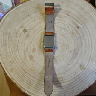 Reloj Emporio Armani Cuadrado Marrón/Plata