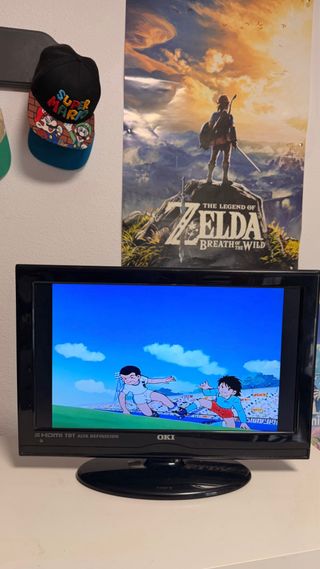 Televisor OKI 19 HDMI TDT Alta Definición