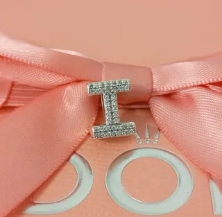 Lote Charms Sonia P.