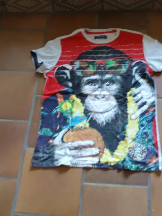 Camiseta Desigual Mono con Gafas de Sol