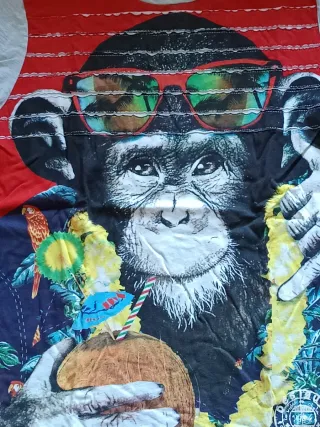 Camiseta Desigual Mono con Gafas de Sol