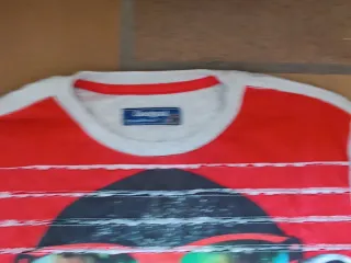 Camiseta Desigual Mono con Gafas de Sol