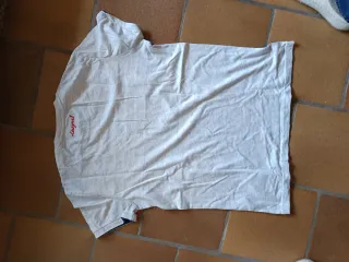 Camiseta Desigual Mono con Gafas de Sol