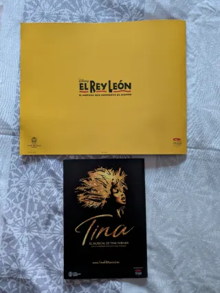 Libro programa Rey leon