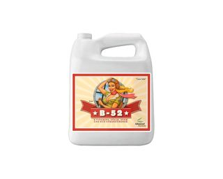 B-52 Advanced Nutrients 1L