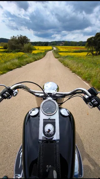 Harley Davidson Fatboy