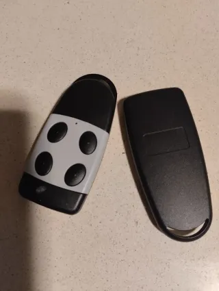 2 Mandos Puerta Garaje RUIZHI 433,92 MHz