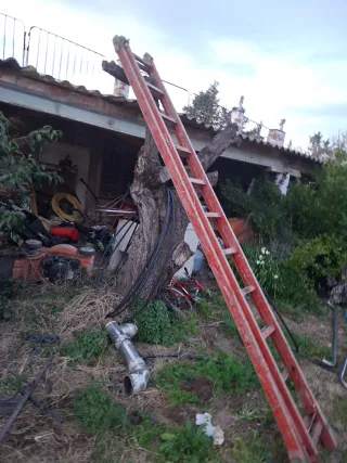 Dos Escaleras madera electricista cada una 120 €