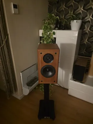 Altavoces Hifi Componentes Legendarios