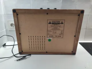 Giradischi in vinile con finitura in legno