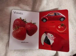 Colors. Libro infantil